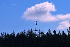 Hier gibt es Handynetz - anderswo fehlen hingegen noch Mobilfunkmasten im Wald, an Wiesen oder an Bauernhöfen. (Symbolbild)