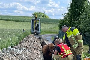 © Feuerwehr Dresden
Einsatzkräfte wirken beruhigend auf das Tier ein.