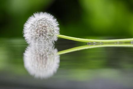 Die Bilder des Tages