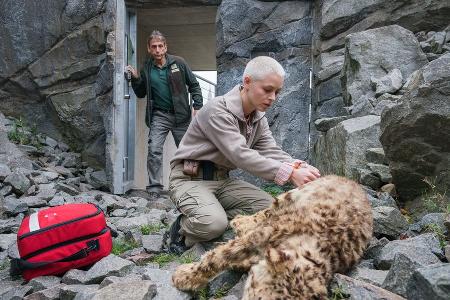 TV-Tipps am Dienstag TV-Tipps am Dienstag
