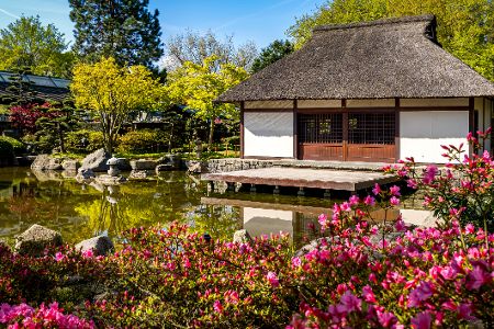 Japanisches Teehaus in Planten un Blomen in Hamburg