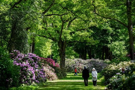 Blick auf Spaziergänger zur Blütezeit im Rhododendronpark in Bremen