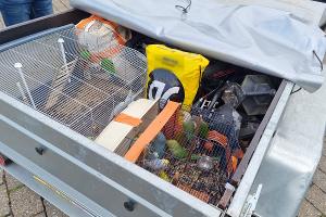 Bundespolizei stoppt illegalen Tiertransport