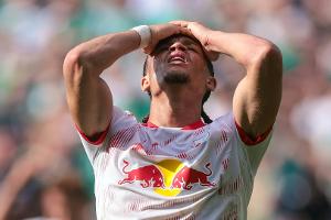 Fan-Umfrage: 2. Liga sehr spannend, RB und BVB enttäuschen