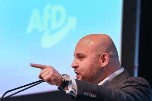 Frohnmaier ist Spitzenkandidat der AfD in Baden-Württemberg
