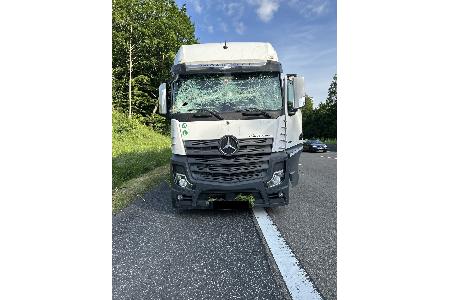 Beschädigter Lkw durch Windbruch Beschädigter Lkw durch Windbruch