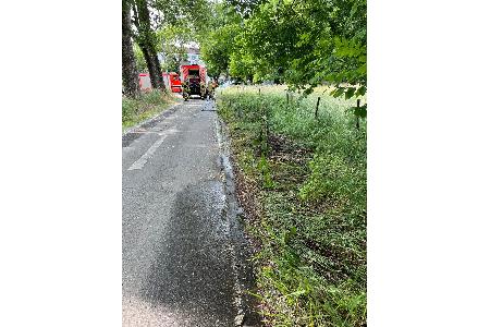 Bei einem Brand wurde ein Feldrand beschädigt. Die Polizei ermittelt. Bei einem Brand wurde ein Feldrand beschädigt. Die Polizei ermittelt.