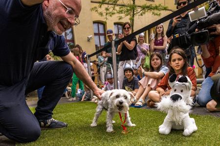 60 Jahre Idefix: Das Museum für Kommunikation suchte den besten Doppelgänger des Comic-Hundes. 60 Jahre Idefix: Das Museum für Kommunikation suchte den besten Doppelgänger des Comic-Hundes.