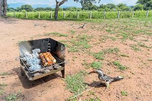 Leicht transportabler Camping-Grill