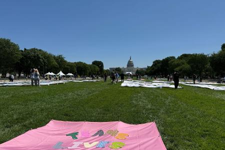 „Trans Lives Matters“ - auf der National Mall vor dem Kapitol sind am ersten Tag der Worldpride verschiedene Banner zu sehen, auf denen die Rechte von Transpersonen eingefordert werden. 