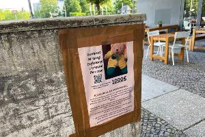 Teddy verzweifelt gesucht: 1.000 Euro für "Mini" ausgesetzt