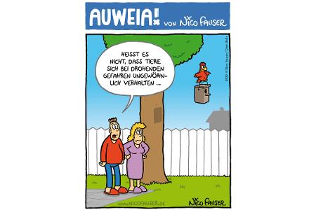 Alltäglicher Humor und Vögel