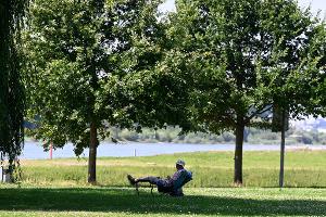 Ein Mann hat sich ein schattiges Plätzchen am Ufer des Rheins in Leverkusen gesucht. (Archivbild)
