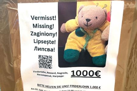Ein Plakat zu einer Suchaktion. (Archivbild)