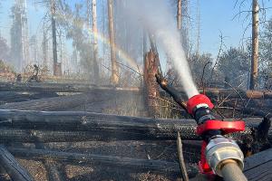 Brandbekämpfung im Wald