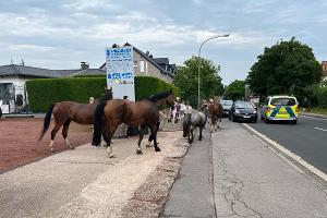 Quelle: Polizei Aachen
