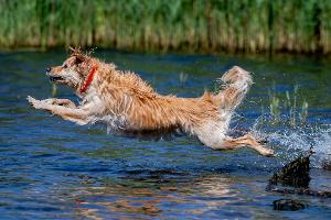 "Lupenreines Sommerwetter"