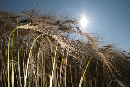 Am Wochenende scheint oft die Sonne.