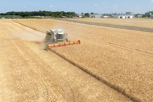 Die Landwirte hoffen nach einem trockenen Frühjahr auf eine durchschnittliche Ernte. (Archivbild)