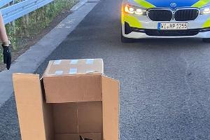 Eine Streife der Autobahnpolizei Darmstadt rettete den verletzten Vogel. (Foto Handout)