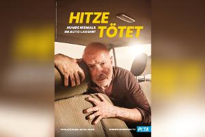 Ein Herz für Hunde: Christian Berkel schwitzt für den Tierschutz