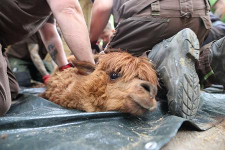 Die Bilder des Tages