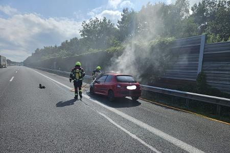 Die Feuerwehr bei den Löscharbeiten