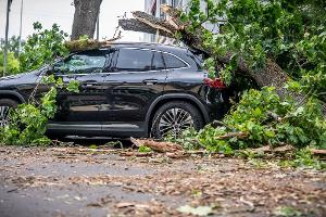 In Berlin führte jüngst ein Sturm zu zahlreichen Schäden. Eine Frau starb.