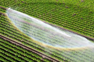 Wasser kann Luxus sein - wenn es knapp ist und für die Landwirtschaft gebraucht wird. (Illustration)