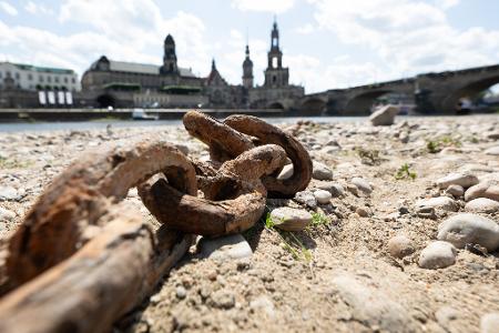 Das Ufer der Elbe ist teils ausgetrocknet.