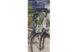 Foto des entwendeten eBikes (Foto: privat)