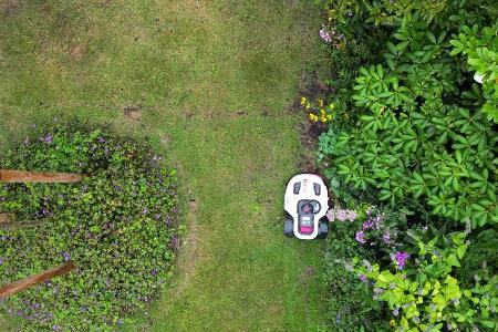Naturschützer warnen davor, dass Mähroboter eine Gefahr sein können - vor allem für nachtaktive Tiere. (Symbolbild)