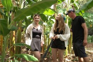 Bauer sucht Frau International