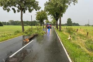 Sturmeinsatz FFA 02.07.25