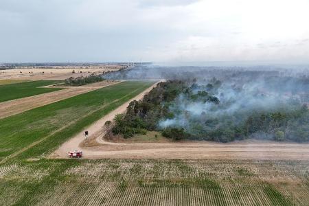 Wegen des Waldbrands in der Gohrischheide wurde Katastrophenalarm ausgelöst. Wegen des Waldbrands in der Gohrischheide wurde Katastrophenalarm ausgelöst.