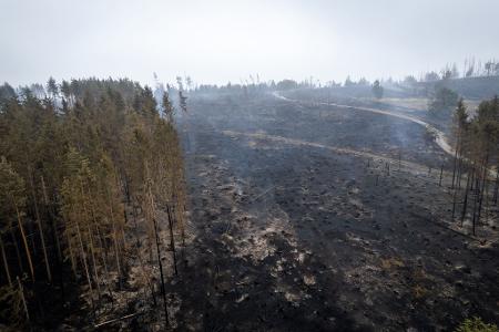 Im Süden von Thüringen haben sich Flammen ausgebreitet.