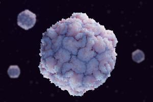 Poliovirus in Deutschland