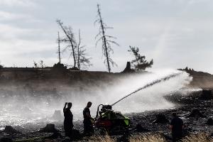 Feuerwehrleute bekämpfen versteckte Glutnester beim Waldbrand auf der Saalfelder Höhe.