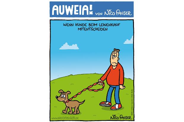 AUWEIA