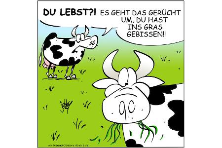 NEUEZEITEN