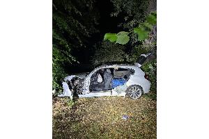 BMW prallte gegen Baum