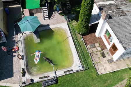 Alligator-Dame Frau Meyer im Gartenpool