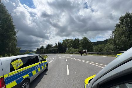 Quelle: Polizei Quelle: Polizei