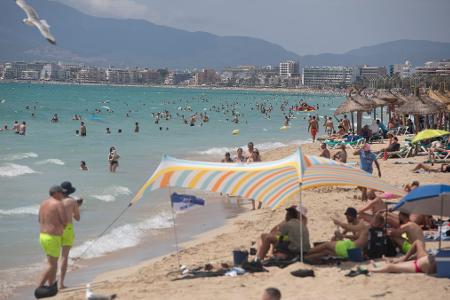 Fischattacken stören die Idylle an der spanischen Mittelmeerküste fast nie. (Archivfoto)