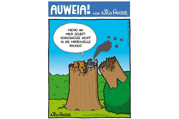 AUWEIA