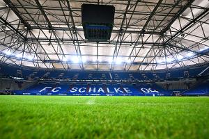 "Vegan-freundlichstes Stadion": Schalke-Arena auf Platz eins