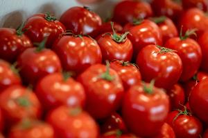 Tomaten sind nach Angaben des Bundesinformationszentrums Landwirtschaft das beliebteste Gemüse in Deutschland.