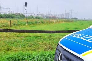 Bundespolizisten entdecken neugeborenes Kalb an den Gleisen 
Foto Bundespolizei