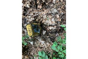 Abgelegter Ölkanister