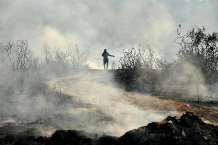 Waldbrand auf Zypern: Ein Mann geht durch ein verbranntes Gebiet im Dorf Souni.